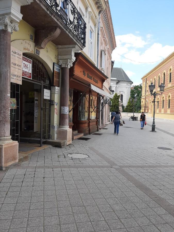 Apartmani Sara Novi Sad Esterno foto