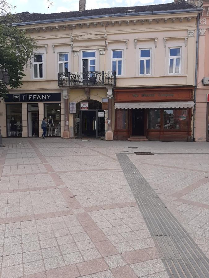 Apartmani Sara Novi Sad Esterno foto