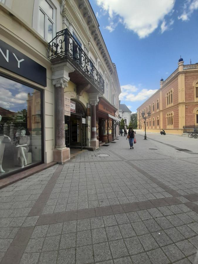 Apartmani Sara Novi Sad Esterno foto